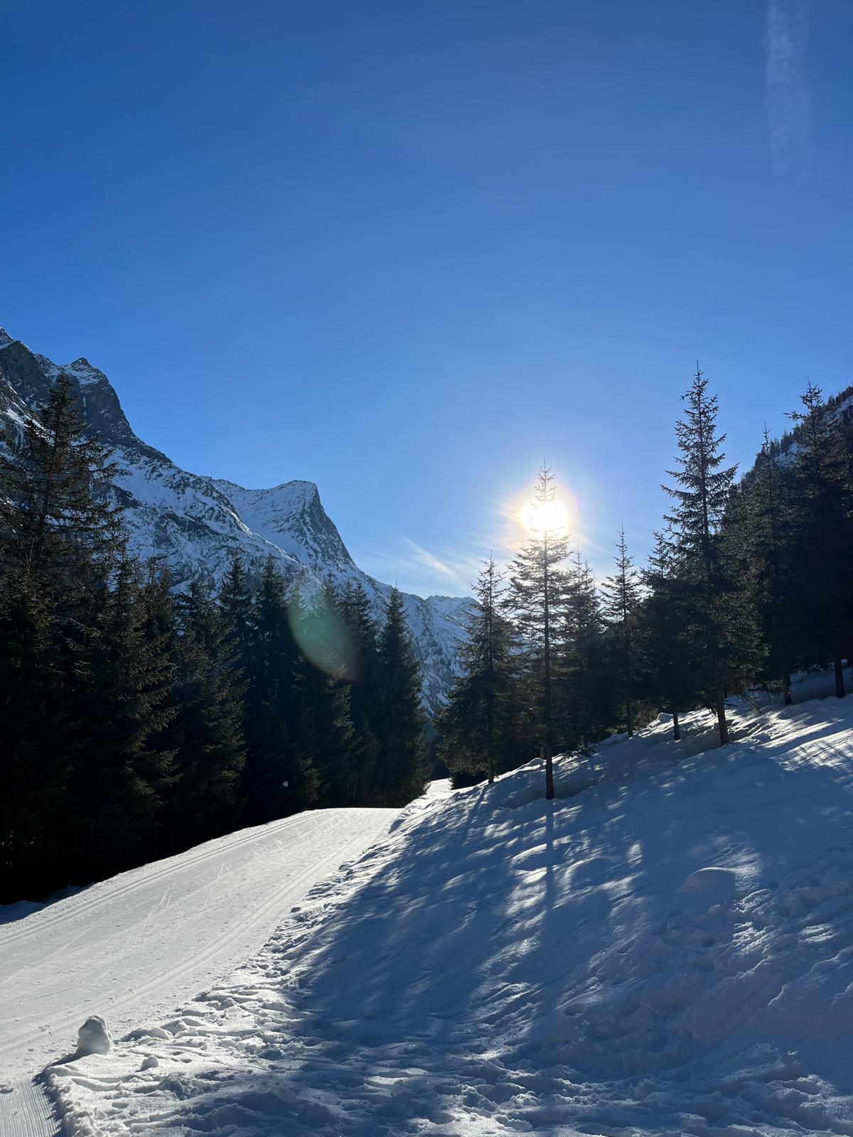 winterlandschaft